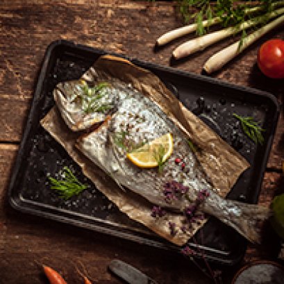 Nam sed elit sagittis